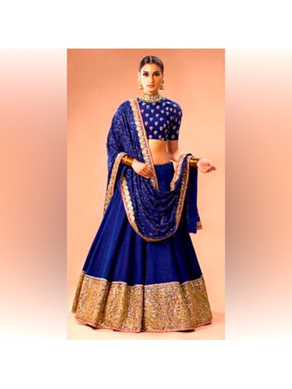 Sabyasachi Royal Blue Lehenga Skirt with Gold Borders- skirt only.